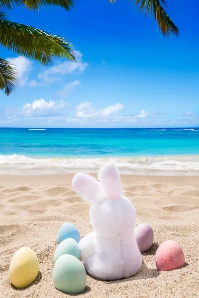 Praia fundo de Páscoa com coelho e ovos de cor — Fotografia de Stock