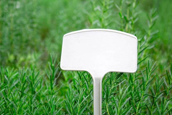 Η λευκή ετικέτα για να γράψετε σε πλαστικό δοχείο των νεαρών φυτών gro — Φωτογραφία Αρχείου