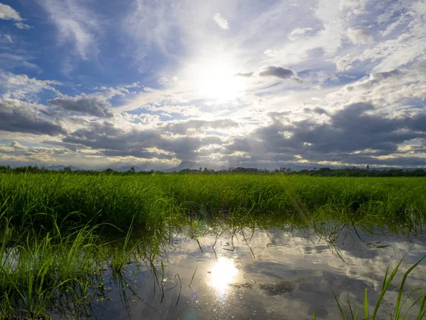 agriculture, asia, asian, background, beautiful, blue, cloud, co