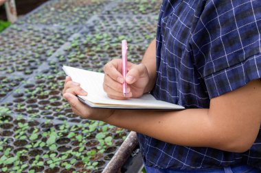 Serada çalışan Asyalı bir çiftçinin portresi.