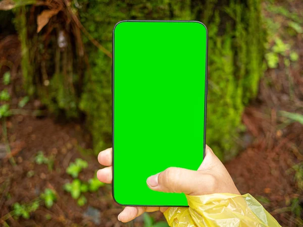 Detailní záběr ruky držení smartphone izolované na přírodním pozadí — Stock fotografie