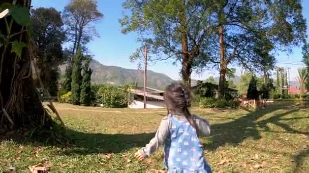 Dois Irmãos Menina Divertindo Para Jogar Juntos Parque Verão Conceitos — Vídeo de Stock