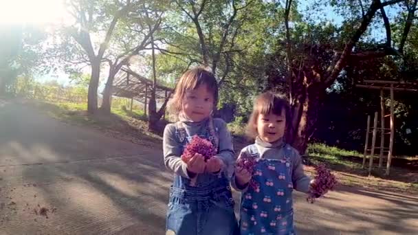 Asiático Hermano Niña Divirtiéndose Jugar Dispersar Flores Juntos Parque Verano — Vídeo de stock