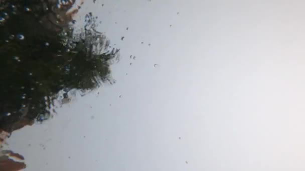 Reflexão Das Árvores Céu Piscina Causada Pela Luz Solar — Vídeo de Stock