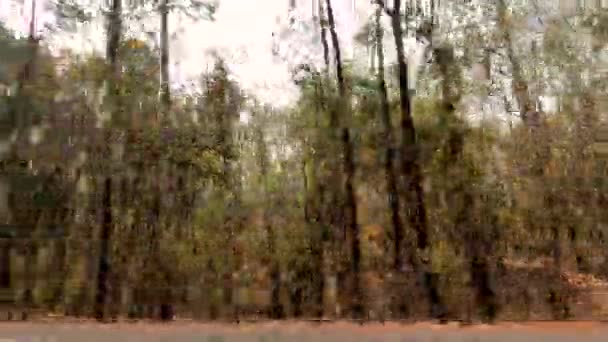 Het Uitzicht Auto Van Een Prachtige Bomen Naast Weg Met — Stockvideo