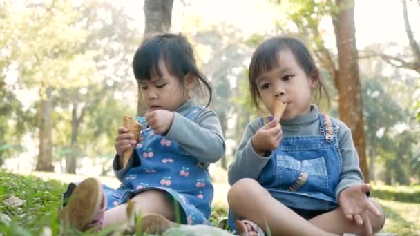 Hermanas Asiáticas Disfrutando Comiendo Con Helado Sentadas Pastos Parque Día — Vídeo de stock