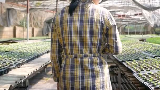 Asiática Mujer Escuchando Música Por Auricular Mientras Sienta Jardín Para — Vídeos de Stock