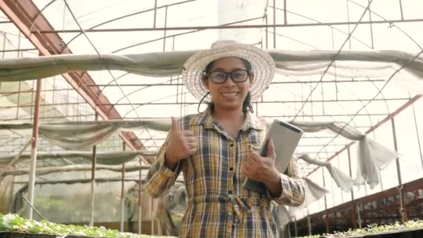 Asian Young Female Gardeners Using Digital Tablet Organic Salad Farm — Stock Video