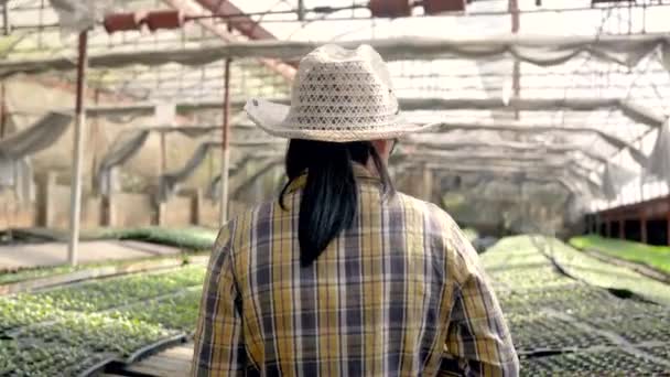 Gardeners Fêmeas Jovens Asiáticos Usando Tablet Digital Fazenda Orgânica Salada — Vídeo de Stock