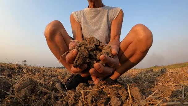 Agriculteurs Âgés Tenant Sol Entre Les Mains Sur Terrain Vérifiant — Video