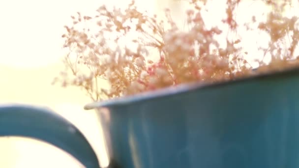 Ainda Vida Buquê Flores Secadas Vaso Azul Vintage Sala Estar — Vídeo de Stock