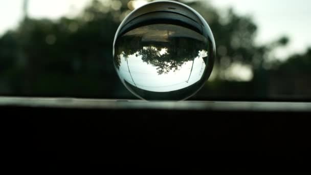 Réflexion Arbre Avec Environnement Dans Boule Cristal Verre Placer Sur — Video