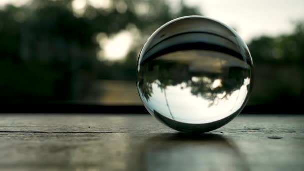 Réflexion Arbre Avec Environnement Dans Boule Cristal Verre Placer Sur — Video