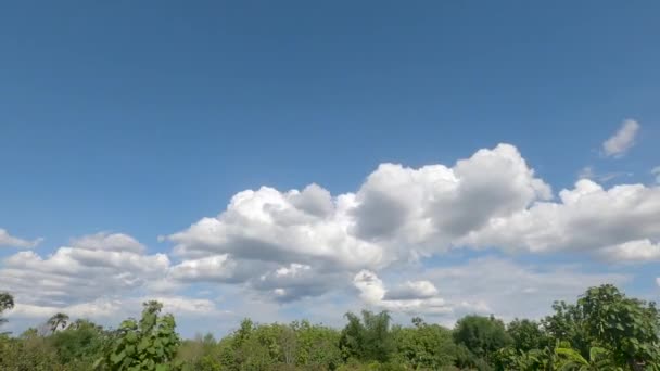 Tiden Förfaller Moln Vacker Himmel Och Trädet Rör Sig Vinden — Stockvideo