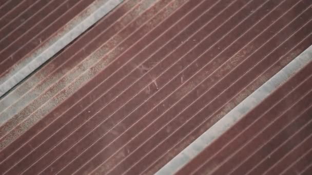 雨のトップビューは 錆びた亜鉛屋根の上に落ちます 田舎の雨季の暴風雨 — ストック動画