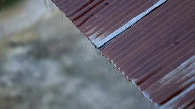 Yağmurun üst görüntüsü paslı çinko bir çatıya düşer. Kırsalda yağmur mevsiminde yağmur fırtınası.