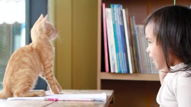 亚洲小女孩和一只小猫在窗边玩 可爱的宠物概念 — 图库视频影像