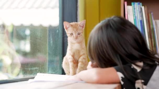 Éduquer Maison Petite Fille Asiatique Faisant Ses Devoirs Fenêtre Intérieur — Video