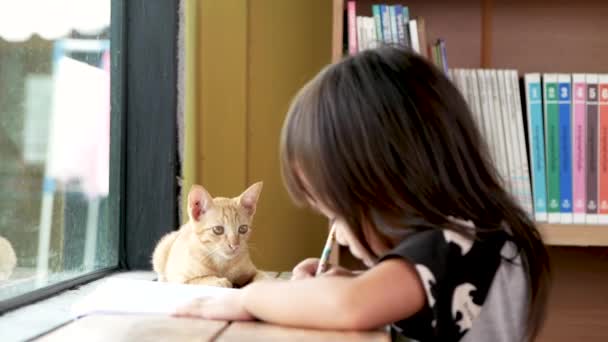 Educar Casa Menina Pequena Asiática Fazendo Lição Casa Pela Janela — Vídeo de Stock