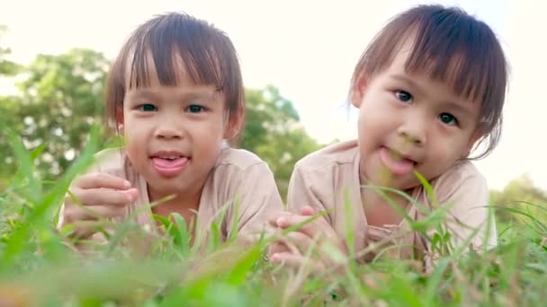 Dos Hermanas Felices Tumbadas Hierba Verde Aire Libre Parque Verano — Vídeo de stock