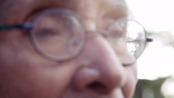 Primer Plano Los Ojos Anciano Con Gafas Sentadas Vacías Jardín — Vídeo de stock