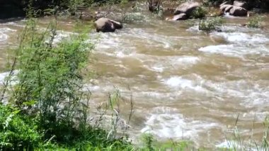 Kırsal kesimdeki yağmurdan sonra akıntıların manzarası akar. Üst görünüm.