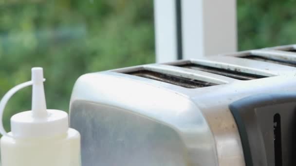 Fette Pane Tostato Che Spuntano Dal Tostapane Cucina — Video Stock