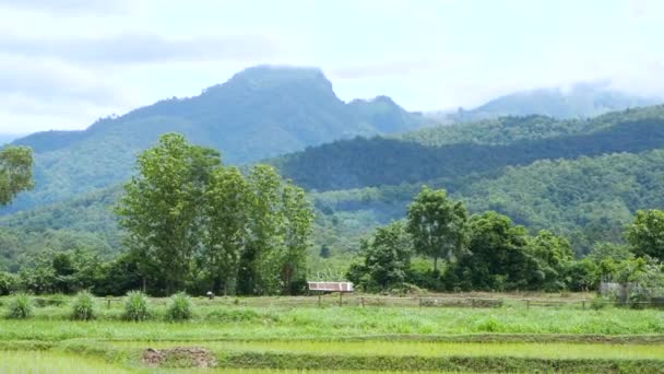 Landskap Berg Med Molnigt Himmel Bakgrund Och Risfält Landsbygden — Stockvideo