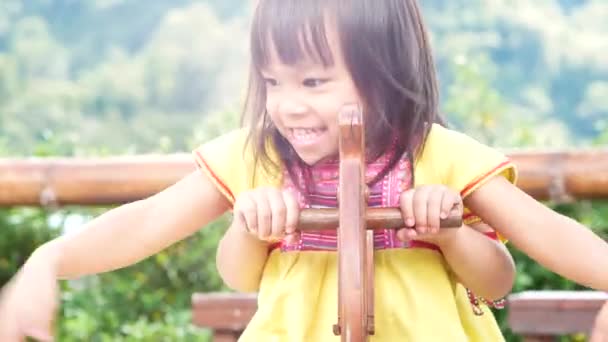 公園で木製のロッキングホースで遊んでいる幸せな兄弟姉妹 子供の頃の幸せの概念 — ストック動画