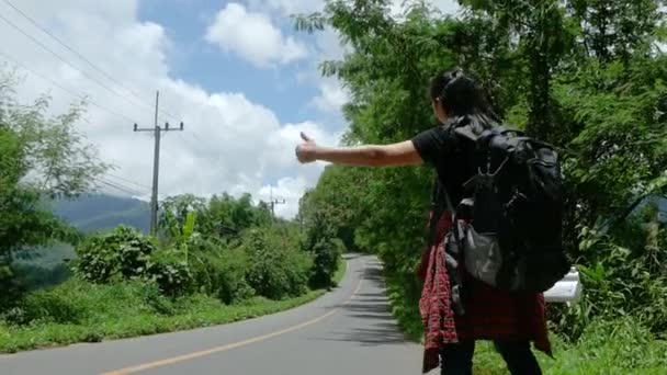 Путешественница Рюкзаком Катается Дороге Время Летнего Отпуска Удивительной Ландшафтной Природе — стоковое видео
