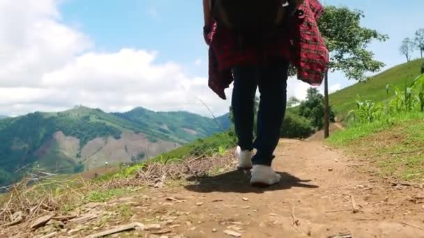 Viagem Mulher Mochila Com Mapa Relaxante Livre Durante Viagem Férias — Vídeo de Stock