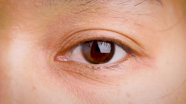 Close Mulher Asiática Piscando Olhos Pequenas Sardas Seu Belo Rosto — Vídeo de Stock
