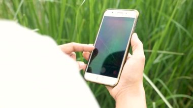 Genç kadın çiftçinin elinde akıllı telefonuyla mısır tarlasının yanındaki çim biçme bıçağını incelerken..