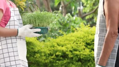 Dişi çiftçiler ve içinde sabah zaferi filizlerinin filizleri olan fidanlık sepeti teslim eden erkekler satılacak. Küçük organik sebze çiftliği..