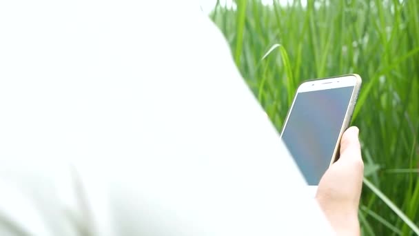 Close Young Female Farmer Examining Vetiver Grass Blade Cornfield Smartphone — ストック動画