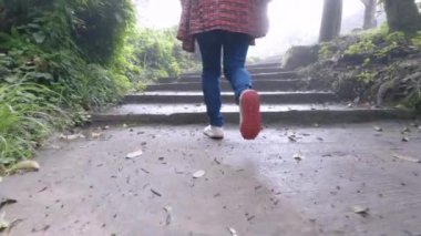 Ulusal Park 'ta doğa yürüyüşü yapan ve doğa ile eğlenen arka kadın yolcuların yakın çekimi..