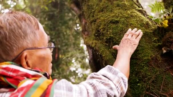 Älterer Mann Berührt Alten Baum Leicht Naturschutzkonzept Weltumwelttag — Stockvideo