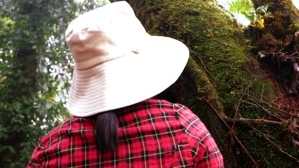 Kvinnan Rör Vid Gammalt Träd Försiktigt Naturskyddskoncept Världsmiljödag — Stockvideo