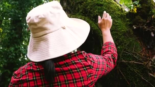 Mulher Tocando Velha Árvore Gentilmente Conceito Proteção Natureza Dia Mundial — Vídeo de Stock