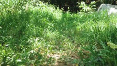 Kıdemli adam bir kağıt parçasına mektup yazıyor. Bugün için not defterine bir not yazan yaşlı adamın ellerini kapat..