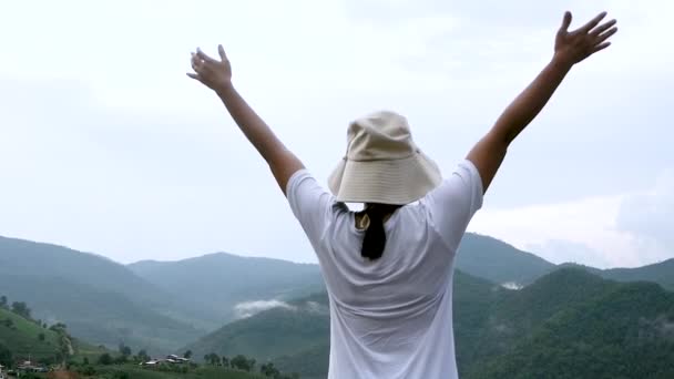 Vista Posterior Joven Alegre Con Los Brazos Extendidos Cima Montaña — Vídeo de stock