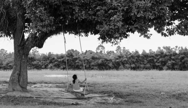 Rear of child girl playing swing outdoor in the park. Black and white style tone.