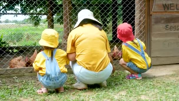 Familia Asiática Que Alimenta Los Pollos Dentro Granja Tradicional Aves — Vídeo de stock