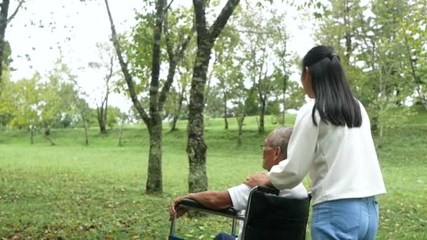 Feliz Avô Sorridente Cadeira Rodas Relaxante Andando Com Neta Livre — Vídeo de Stock