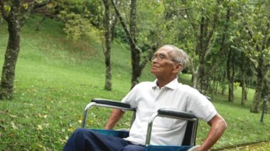 Torunum, parkta doğa ile eğlenirken büyükbabama tekerlekli sandalyede yardım ve destek oluyor. Aile mutlu bir yaşam tarzı.