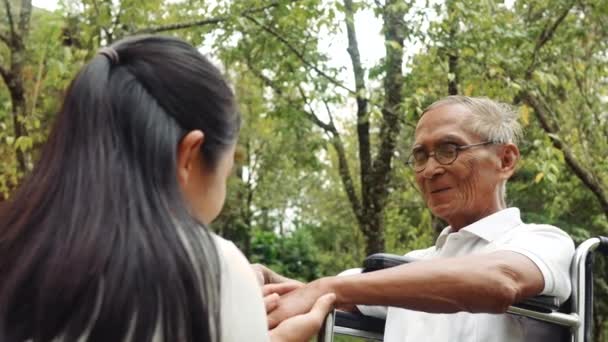 공원을 여행하면서 휠체어에 할아버지를 돌보며 미소짓는 할머니의 — 비디오
