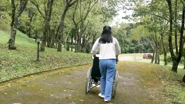 Das Heck Des Glücklichen Großvaters Rollstuhl Entspannt Sich Und Geht — Stockvideo