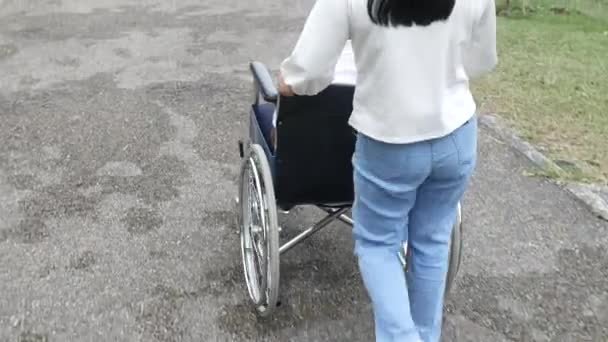 車椅子で幸せな祖父の後ろにリラックスし 公園で孫娘の屋外で歩く 家族の幸せな生活 — ストック動画