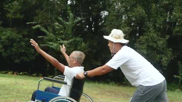 Happy Smiling Grandfather Wheelchair Relaxing Walking Grandson Outdoor Park Family — Stock Video