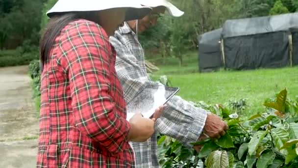 할아버지와 가정용 유기농 농장에서 디지털 태블릿을 사용하는 현대의 스마트 농업과 — 비디오